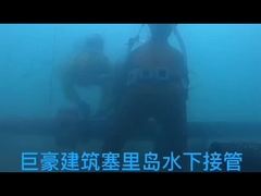 ステンレス鋼管修理 クランプ 1/2 水道設備 水道プロジェクト NR 密封リング